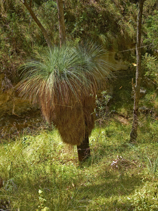 Warrumbungle